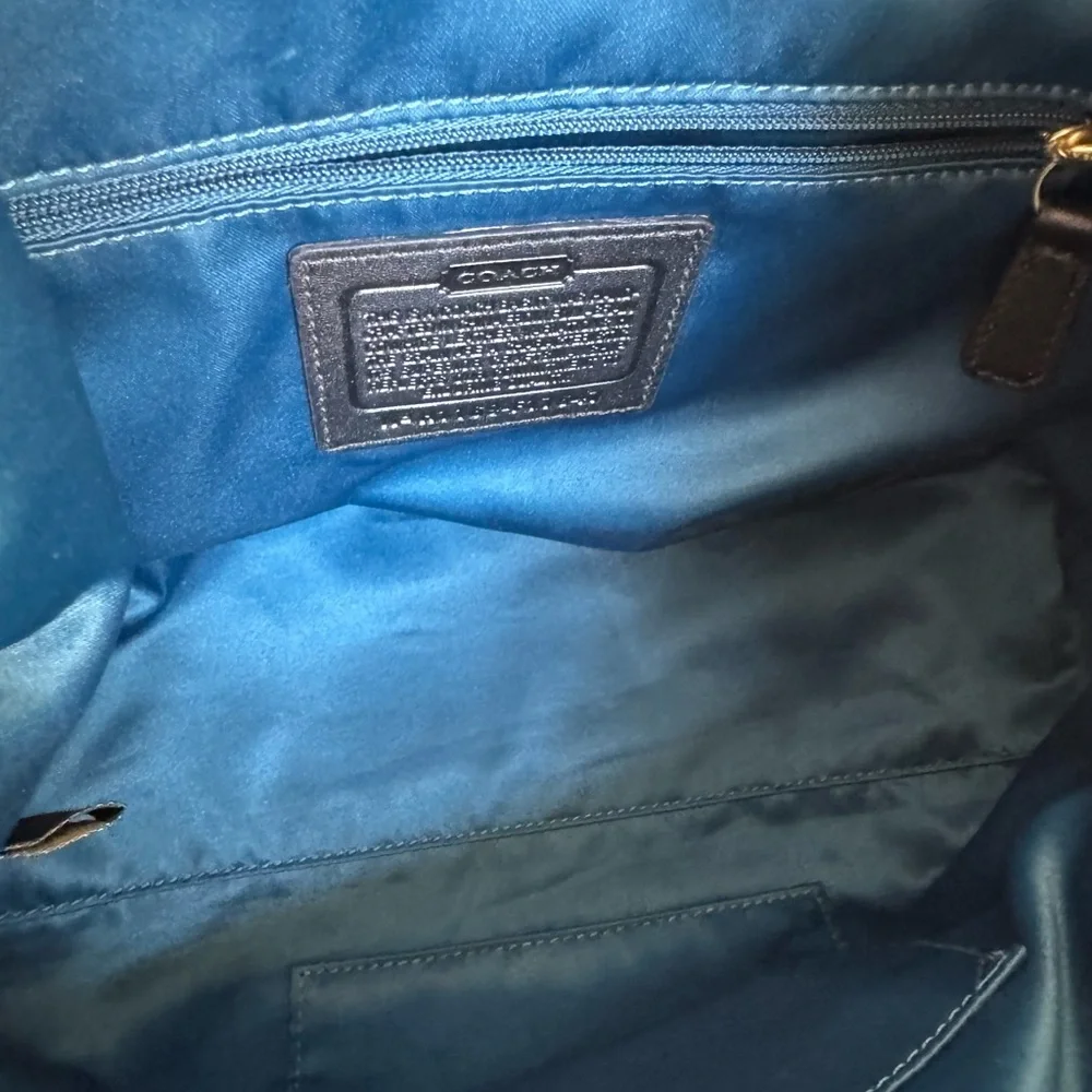 Coach Pleated Shoulder/Handbag & Necklace